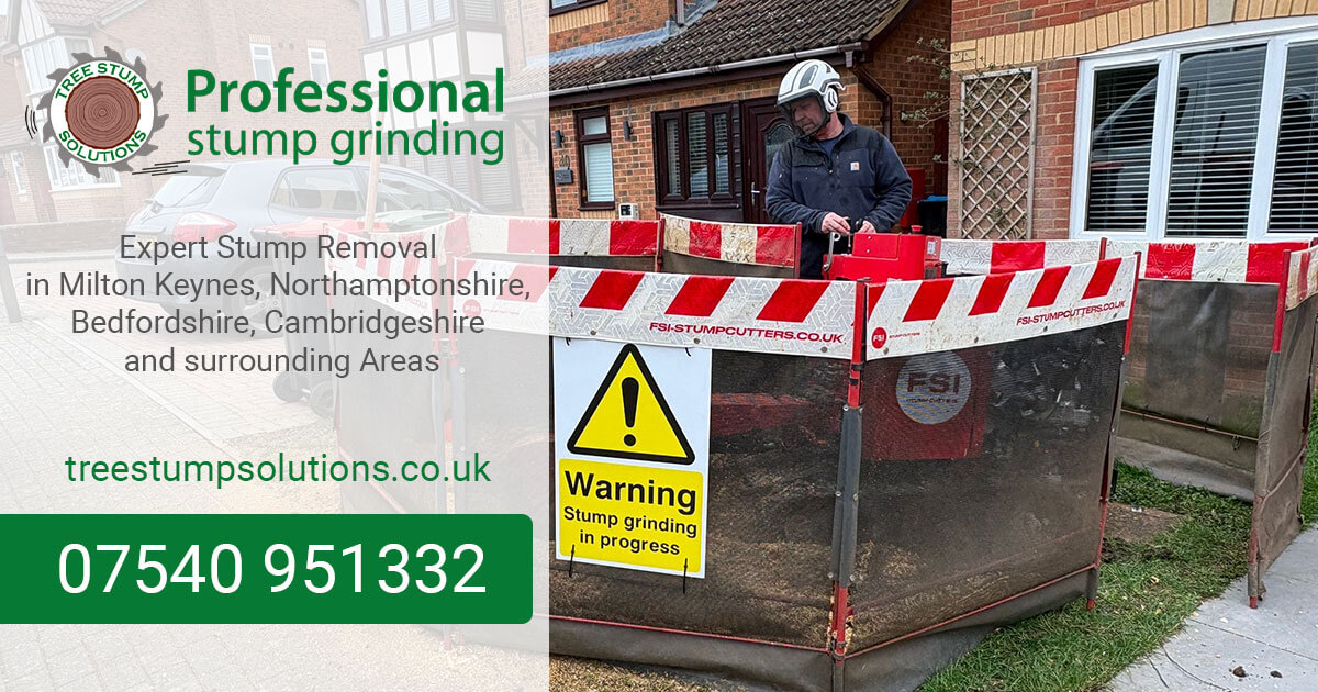 Tree Stump Removal & Grinding | Tree Stump Solutions